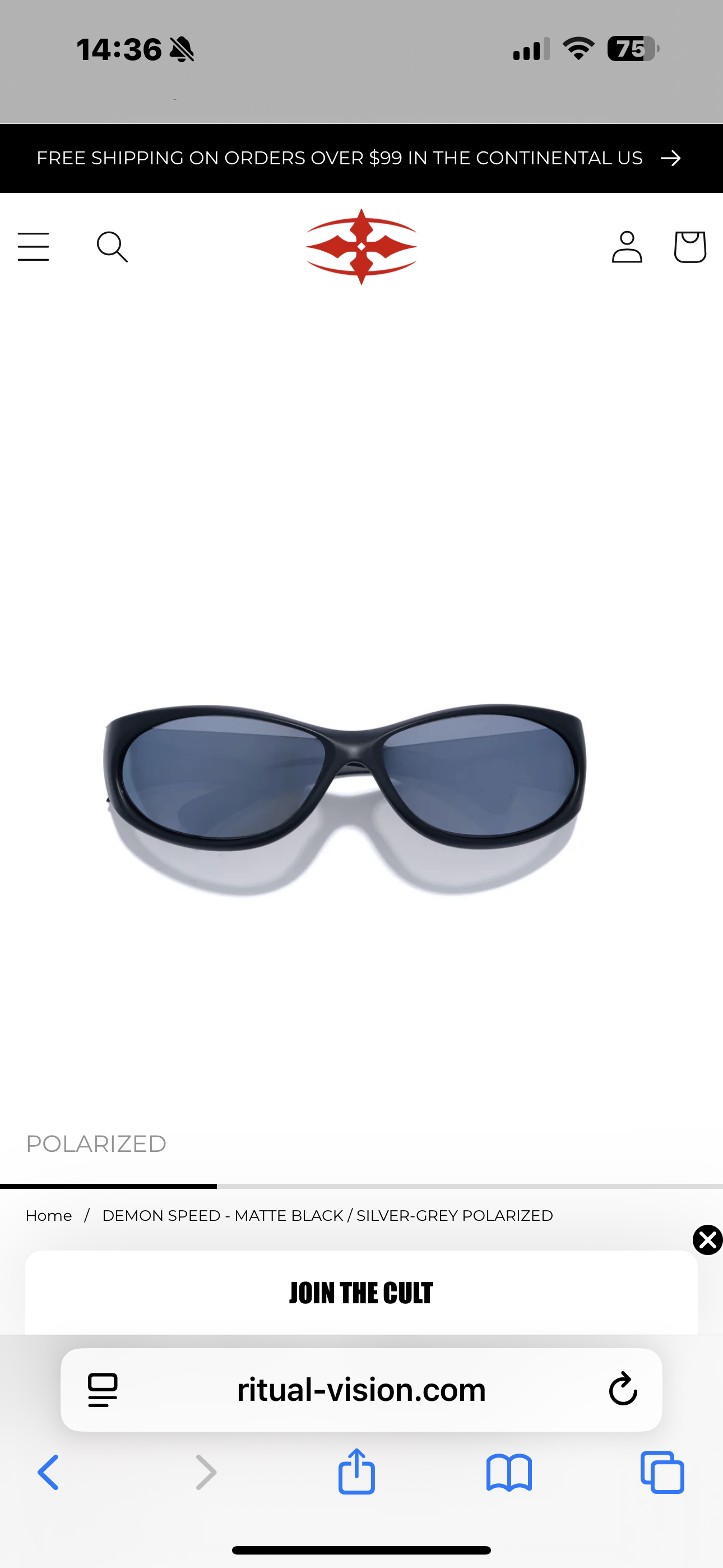 RITUAL VISION - DEMON SPEED - MATTE BLACK / SILVER-GREY POLARIZED