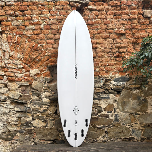 ARAKAWA   HOLY MOLI   6'6"   20.5   2.5   36L