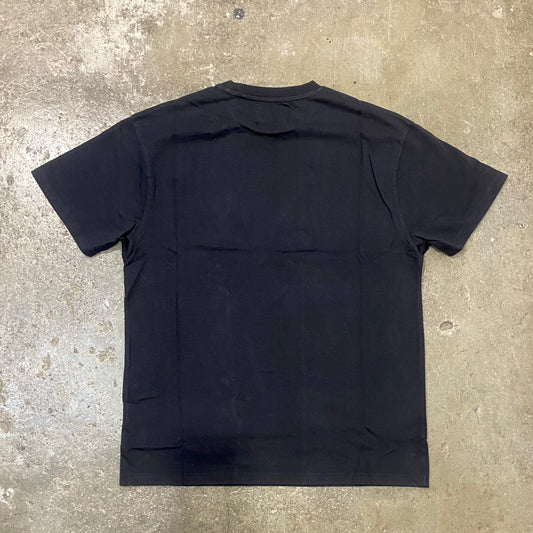 THE CRITICAL SLIDE SOCIETY   SEEING DOUBLE TEE