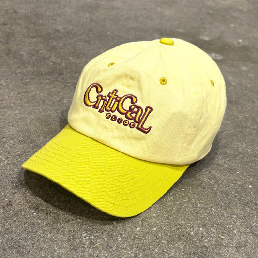 THE CRITICAL SLIDE SOCIETY     FRIENDS DAD CAP