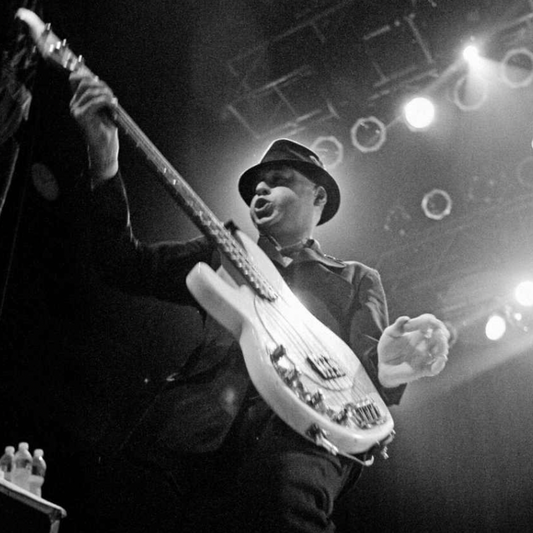 BRIXTON STOUT PORK PIE