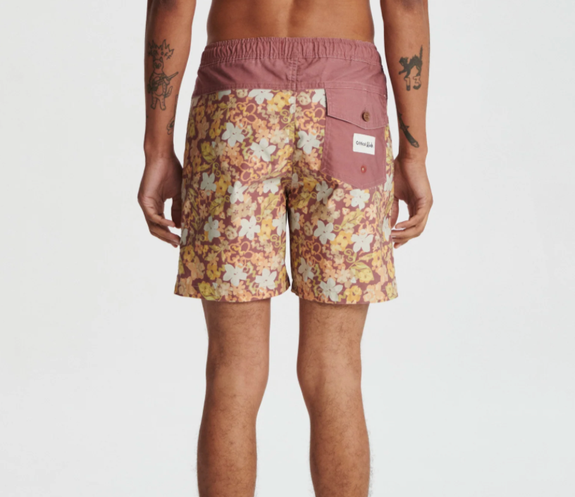 THE CRITICAL SLIDE SOCIETY ASTRO PANEL 17" TRUNK