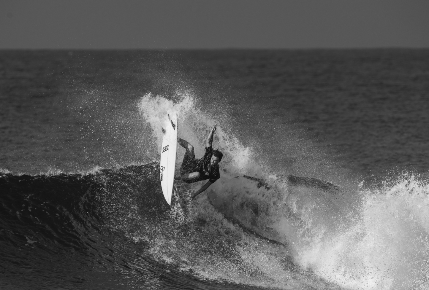 CHANNEL ISLANDS BLACK AND WHITE
