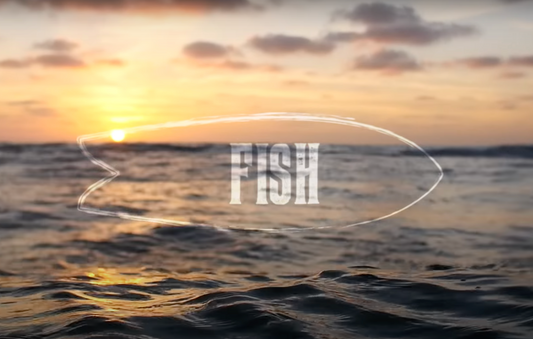 FISH: SURFBOARD DOCUMENTARY