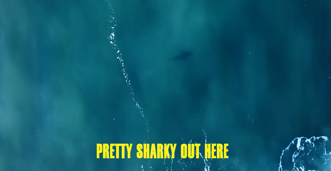 We Surfed Shark Infested Waters in South Africa! - Jordy Smith
