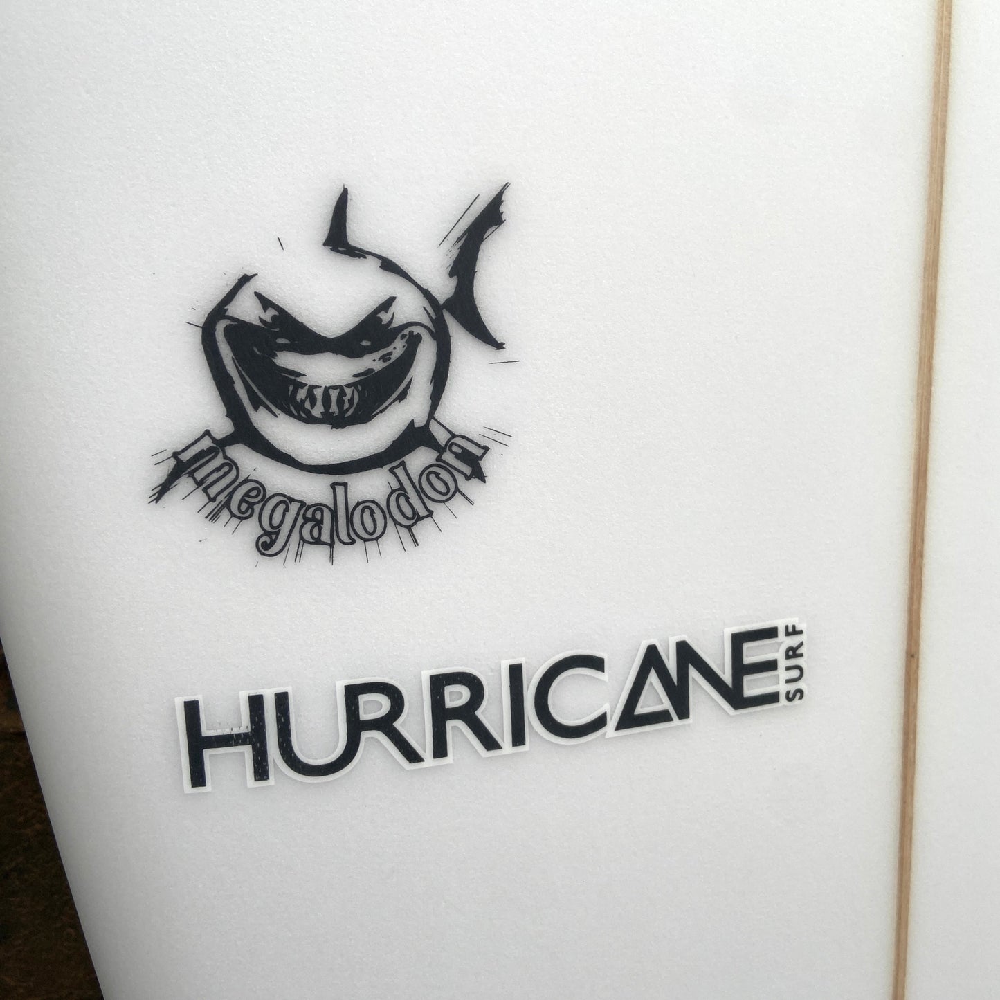 HURRICANE MEGALODON FISH 