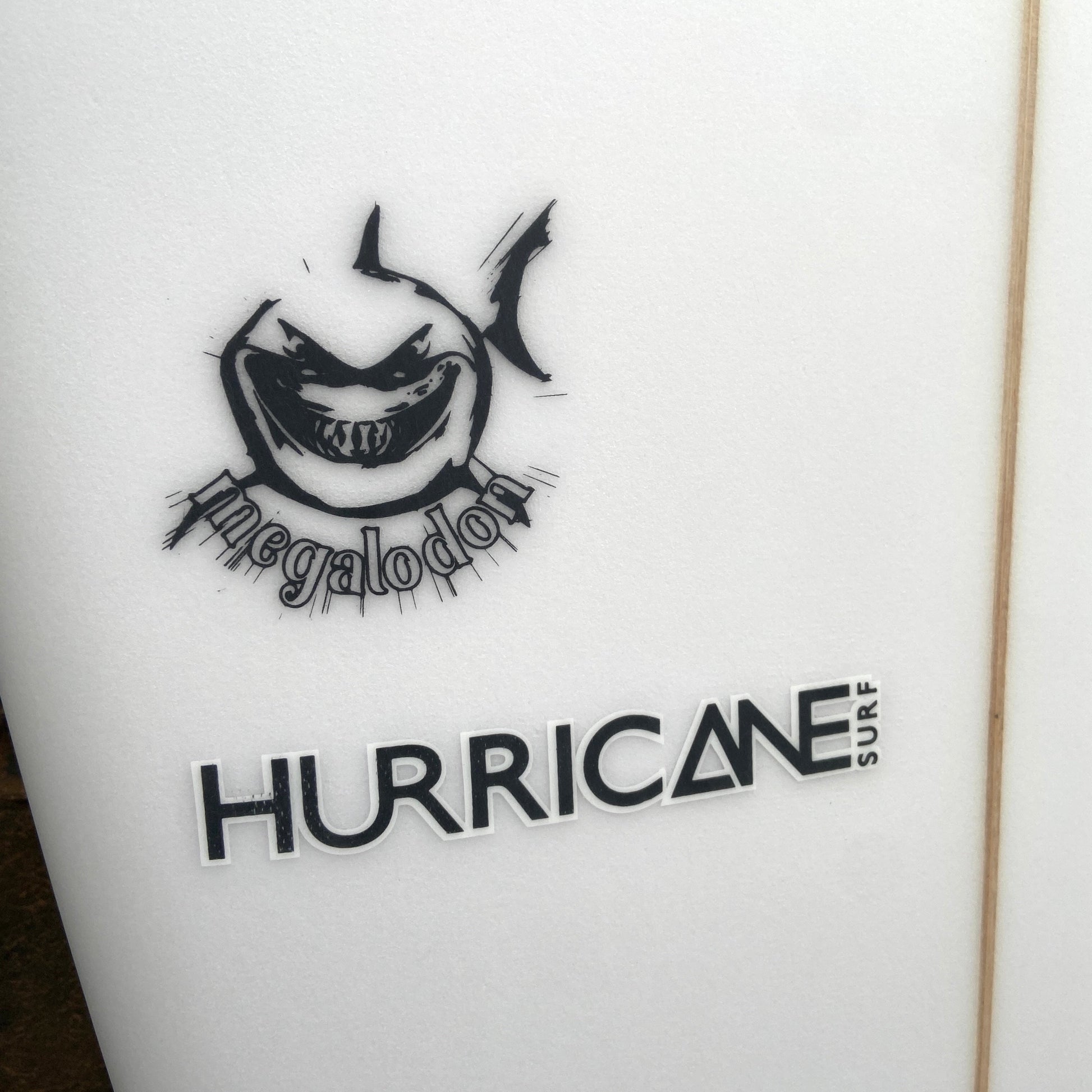 HURRICANE MEGALODON FISH 