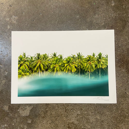 MORBO  'PALM HEAVEN'
