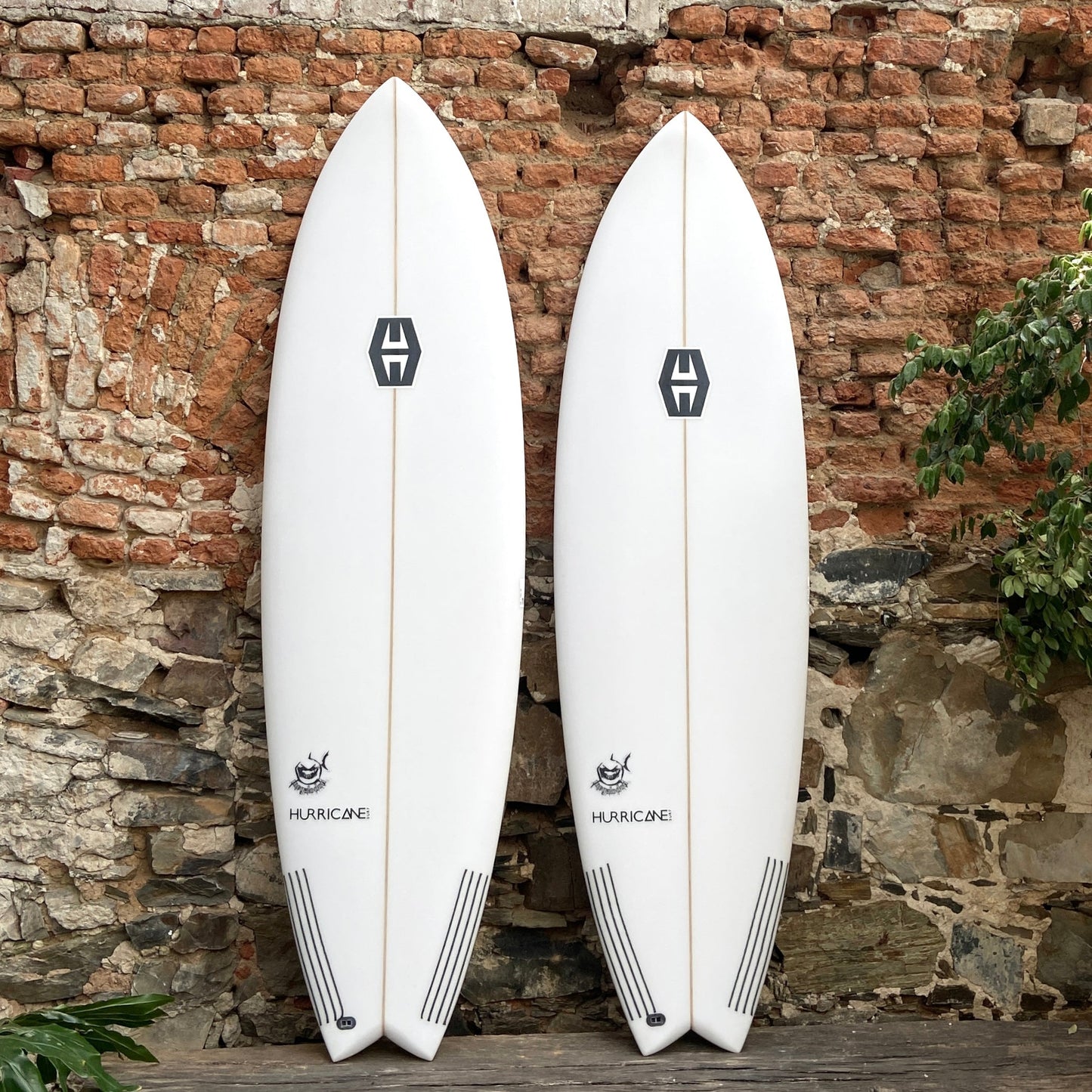 HURRICANE MEGALODON FISH 