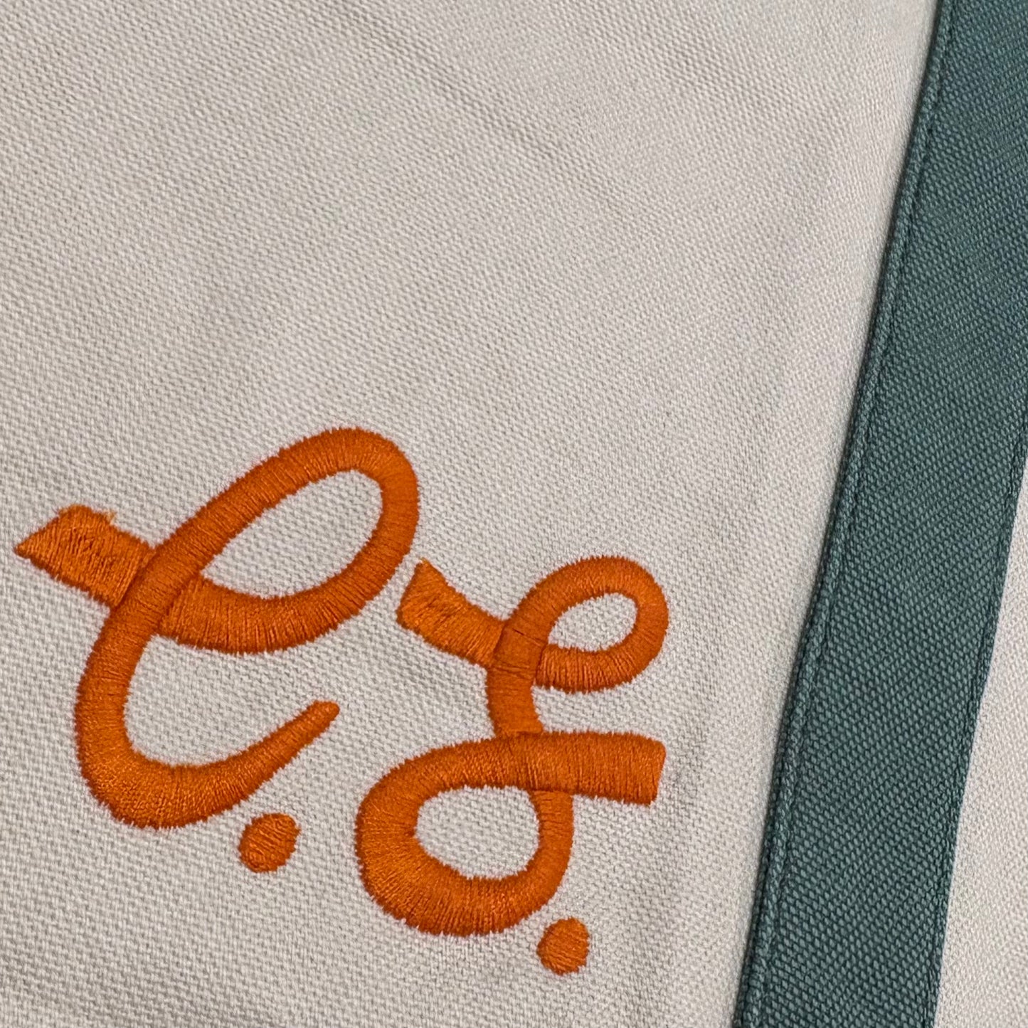 The Critical Slide Society   Business Beach Bag