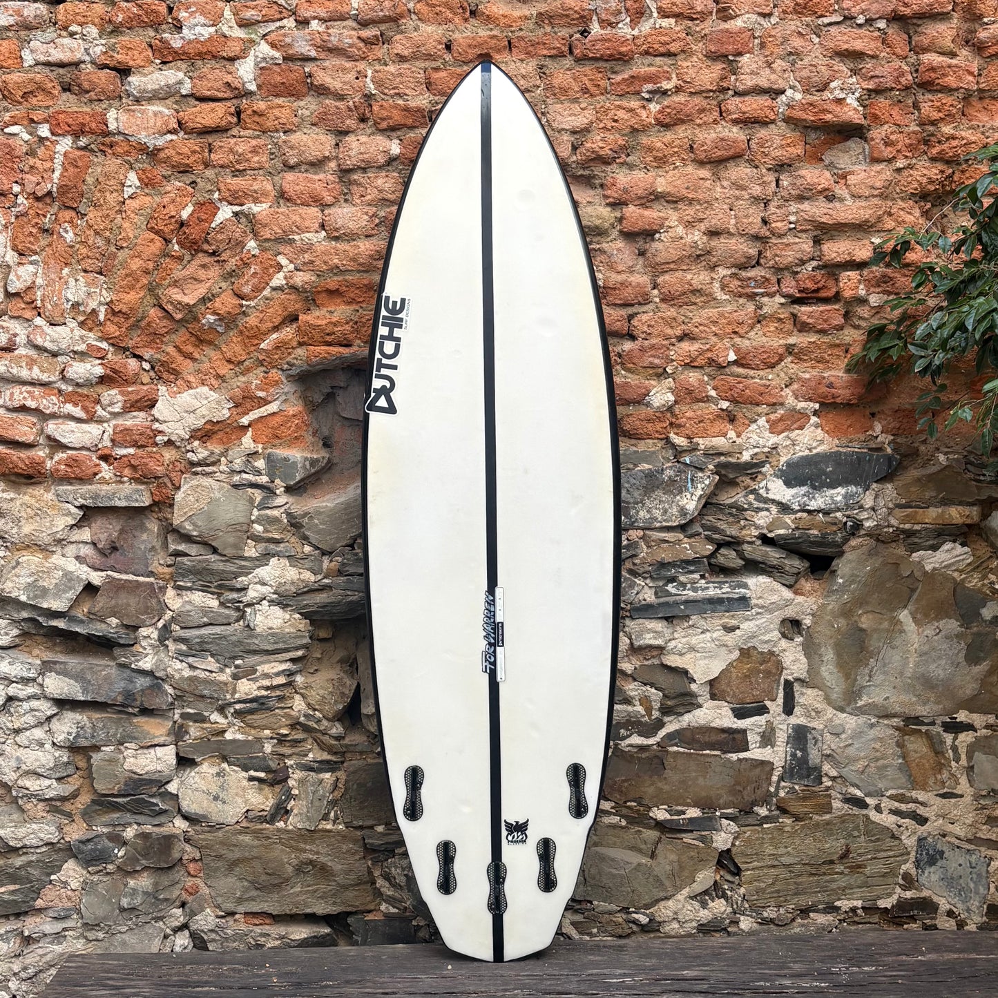 DUTCHIE     5'10    20    2 1/2