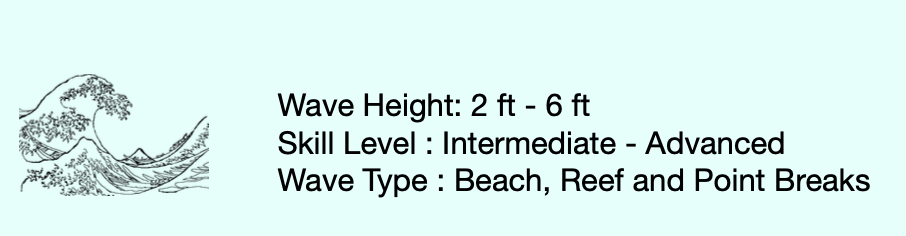 The Dirty Samchez  9'4  x  23  x  2 7/8  72.2L