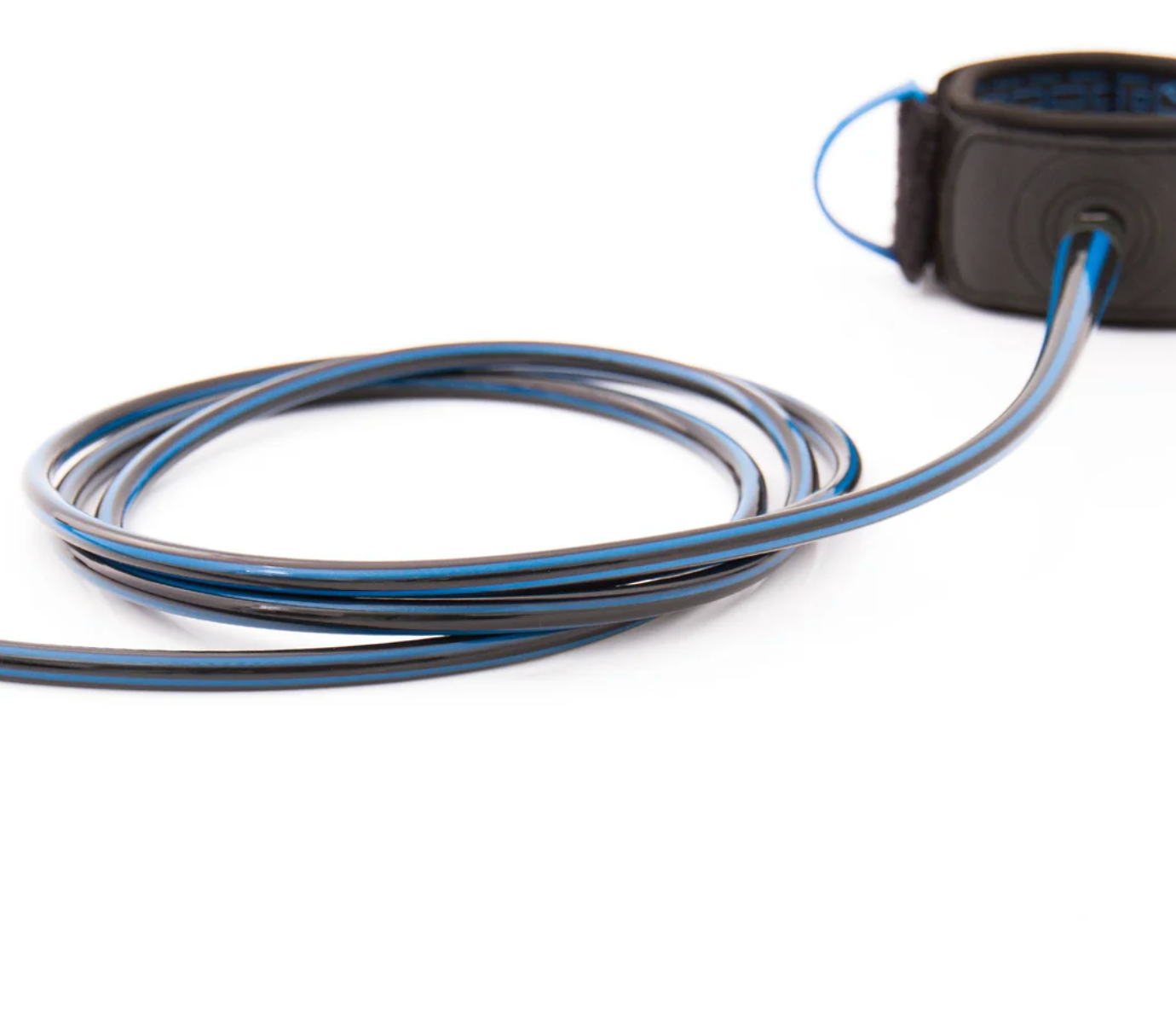 Coiled blue and black dog leash on a white background