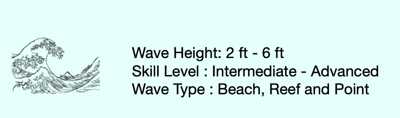 The Space Goat  9'1 x 22 1/4  x 2 5/8   60.4L