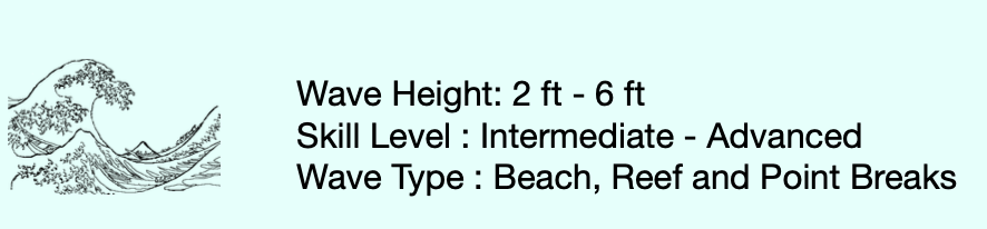 The Progressor  9'4  x  23  x  2 7/8  67.4L