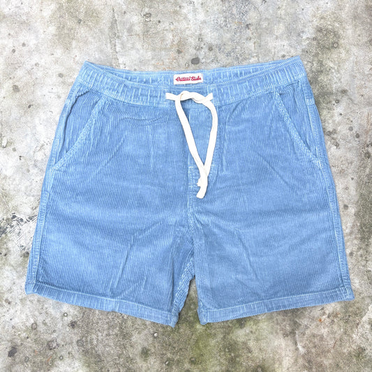 Light blue corduroy shorts with a white drawstring, laid flat on a textured concrete surface. The brand name 'Artist Shot' is visible on the inner waistband label.